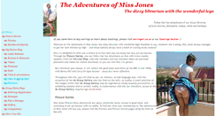 The Adventures Of Miss Jones
